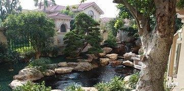 南海區鹽步工廠園林綠化養護別墅假山魚池綠化景觀設計